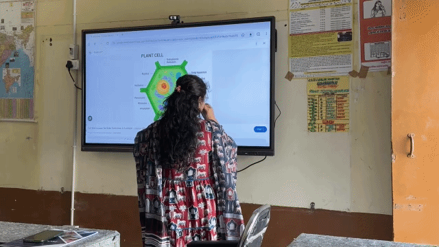 Empowering teachers, transforming education for every mind